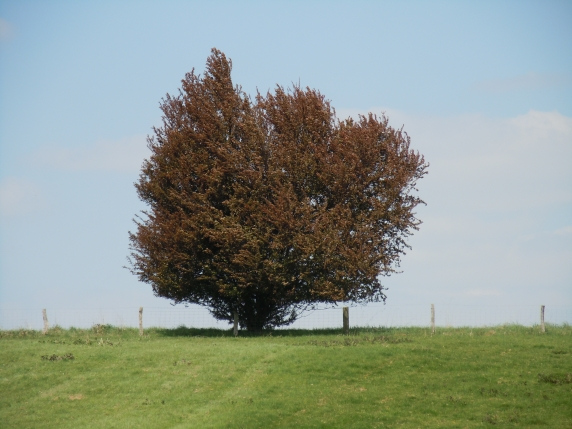 wandertag2011vorschau
